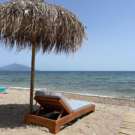 Hotel Ireon Beach Samos Town Exterior foto
